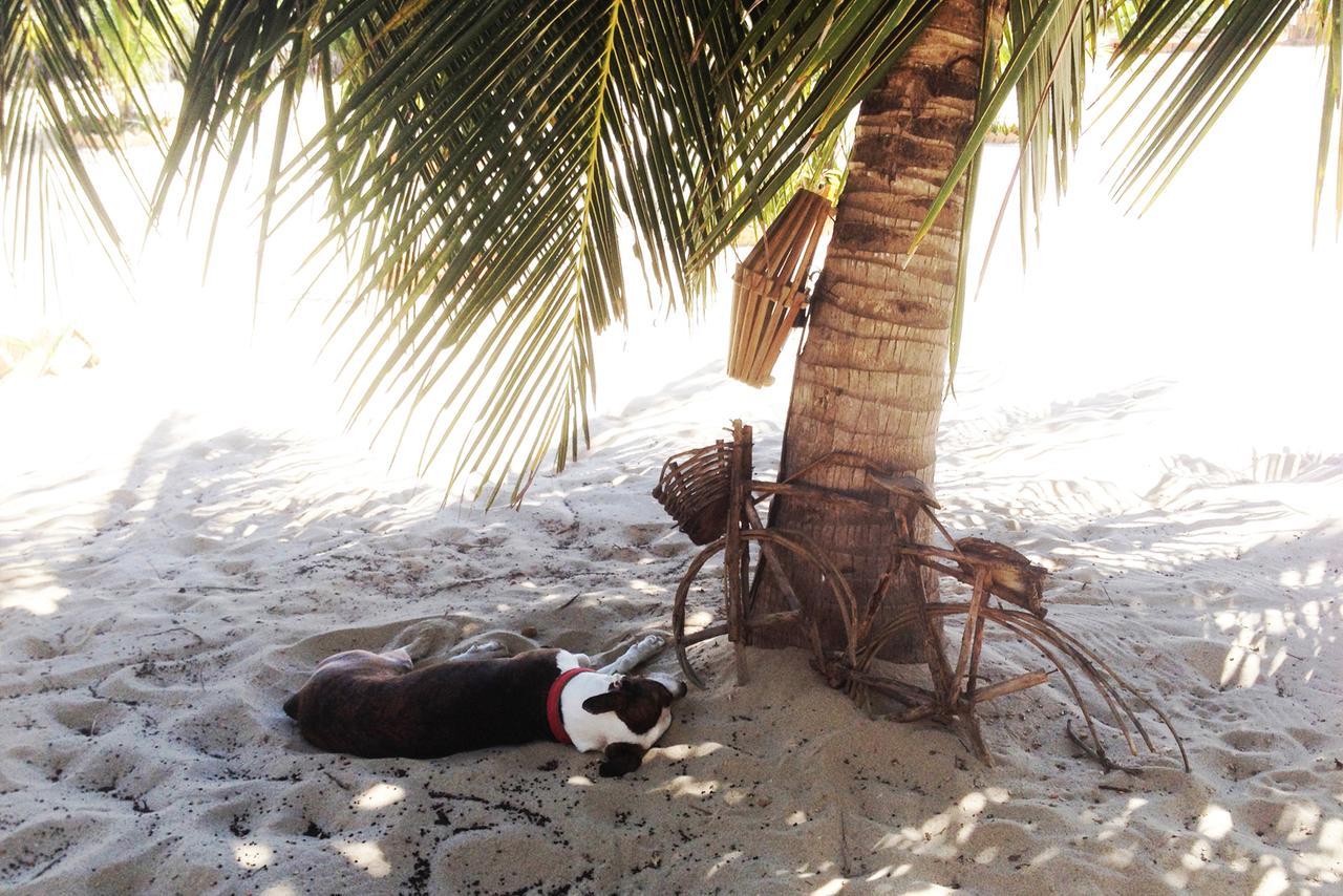 Pousada Villa Zen Barra Grande  Zewnętrze zdjęcie